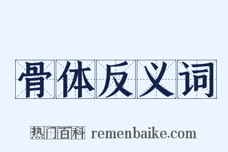 骨体反义词是什么意思的图片